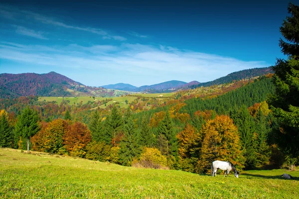 Podzimní krajina — Stock fotografie