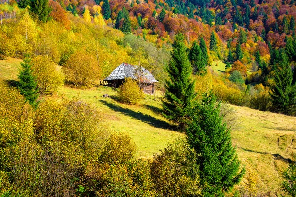 Podzimní krajina — Stock fotografie