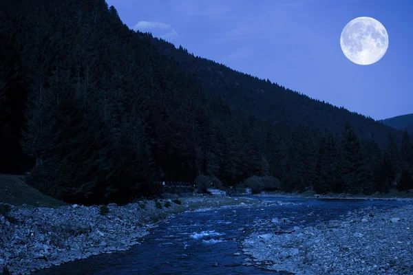 Gece doğal görünümü — Stok fotoğraf