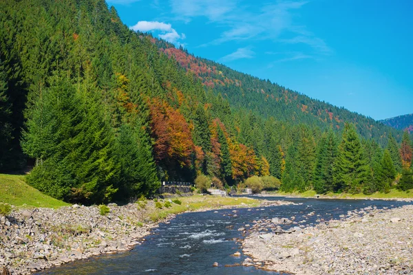 Autumn landscape in Carpathian mountains — Stock Photo, Image