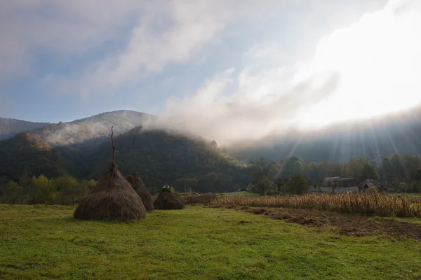 Matin paysage d'automne — Photo