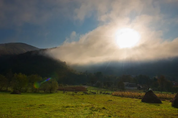 Morgen Herbstlandschaft — Stockfoto