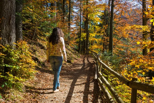 Mulher andando na floresta — Fotografia de Stock