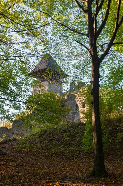 Gamla slottet — Stockfoto