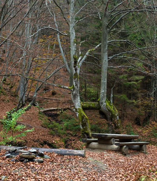 Picnic place — Stock Photo, Image