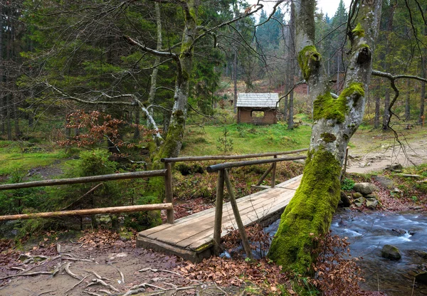 Small  bridge over the river — Stock Photo, Image