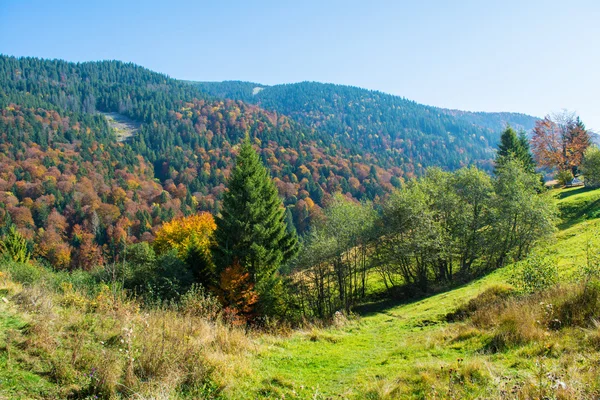 Höstlandskap — Stockfoto