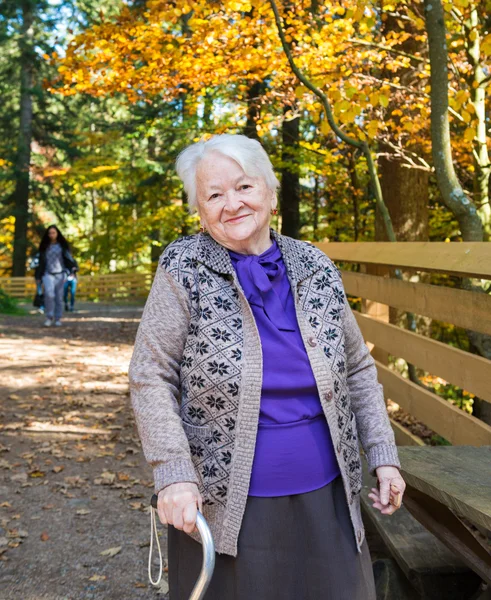 Old smiling woman — Stock Photo, Image