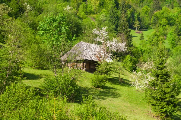 Casa de pueblo — Foto de Stock