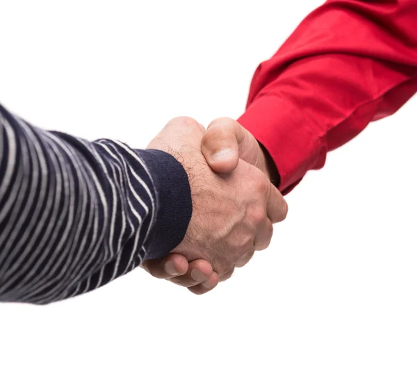 Two businessmen shaking hands — Stock Photo, Image