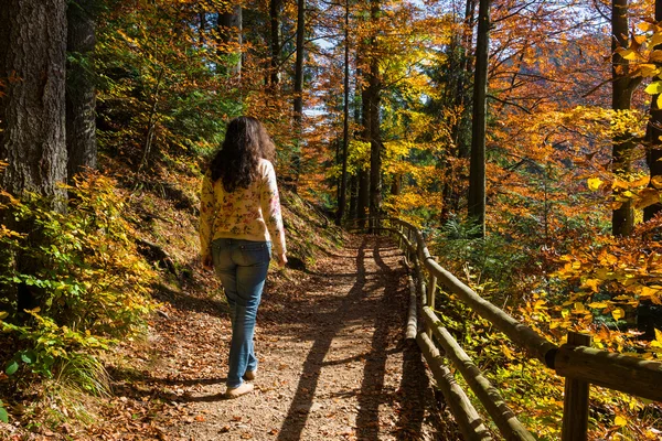 Mulher andando na floresta — Fotografia de Stock