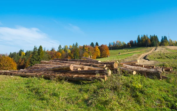 Boom logboeken — Stockfoto