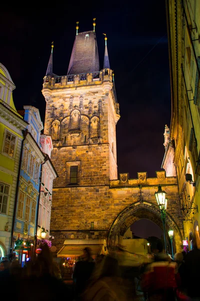Prague, Çek Cumhuriyeti - 01 Ocak 2014: gece fotoğrafı karga — Stok fotoğraf
