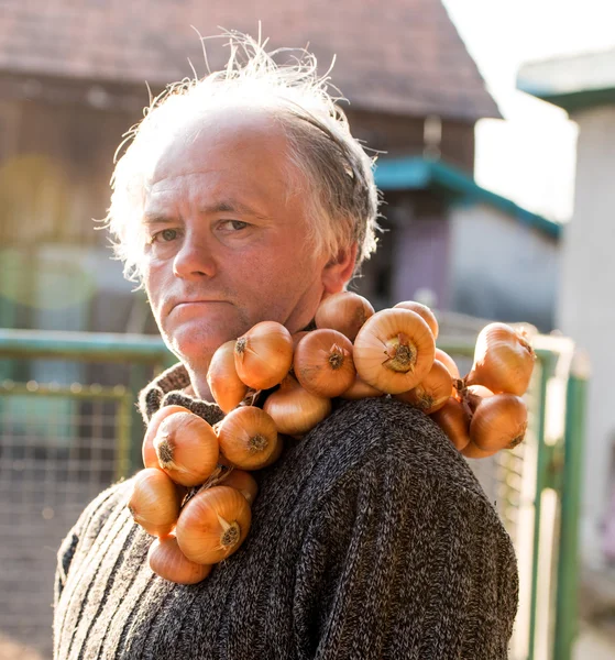 Agricultor sosteniendo cebolla orgánica —  Fotos de Stock