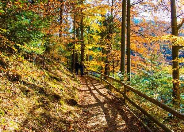 Couple walking in autumn park — Stock Photo, Image