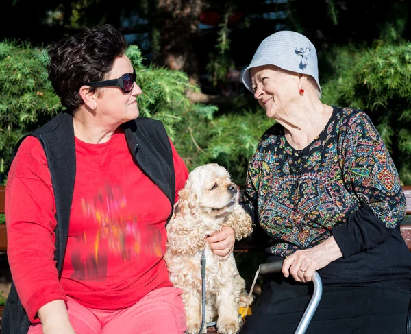 Två kvinnor och hund — Stockfoto