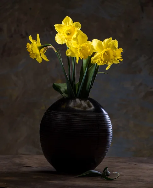 Lindos narcisos em vaso preto — Fotografia de Stock