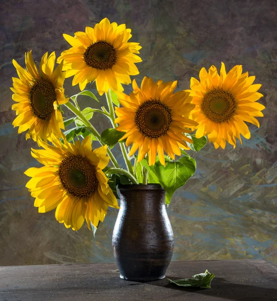 Schöne Sonnenblumen — Stockfoto