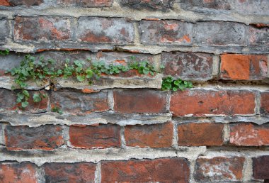Grunge eski tuğla duvar