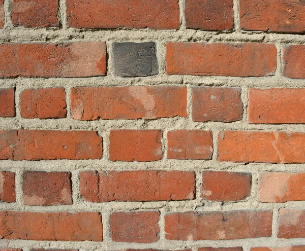 Grunge old brick wall — Stock Photo, Image