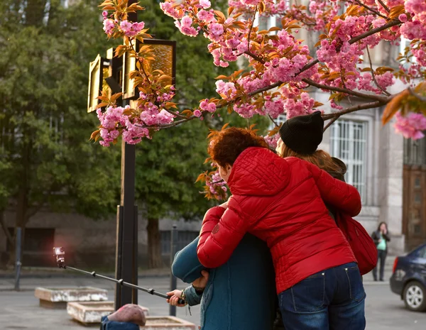 Happy family taking selfie — Stock Photo, Image