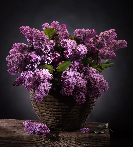 Ramos floridos de lilás — Fotografia de Stock