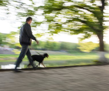 sokakta köpek yürüyüş