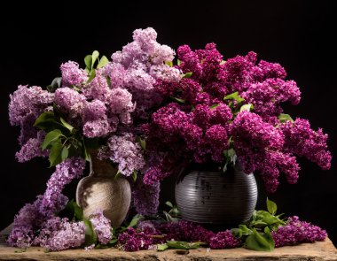  vazo içinde Lila çiçek dalları