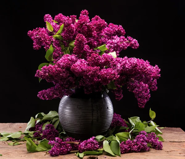 Blooming branches of lilac in vase — Stock Photo, Image