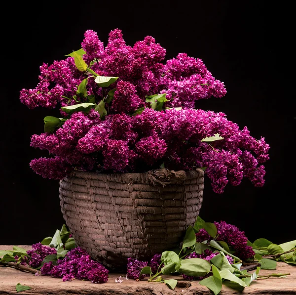 Blooming branches of lilac in basket — Stock Photo, Image