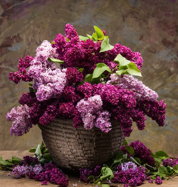 Blooming branches of lilac in basket — Stock Photo, Image