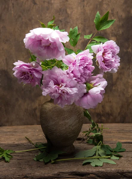 Bellissimo bouquet di peonie rosa — Foto Stock