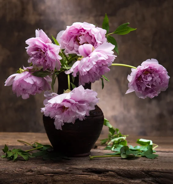 Krásnou kytici růžových pivoněk — Stock fotografie