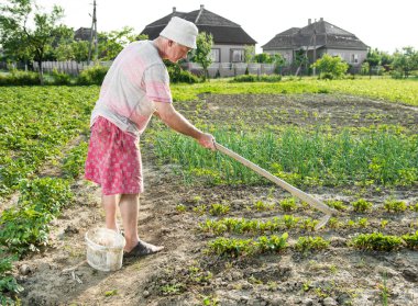 Zavallı çiftçi karık arası çapa sebze bahçesi