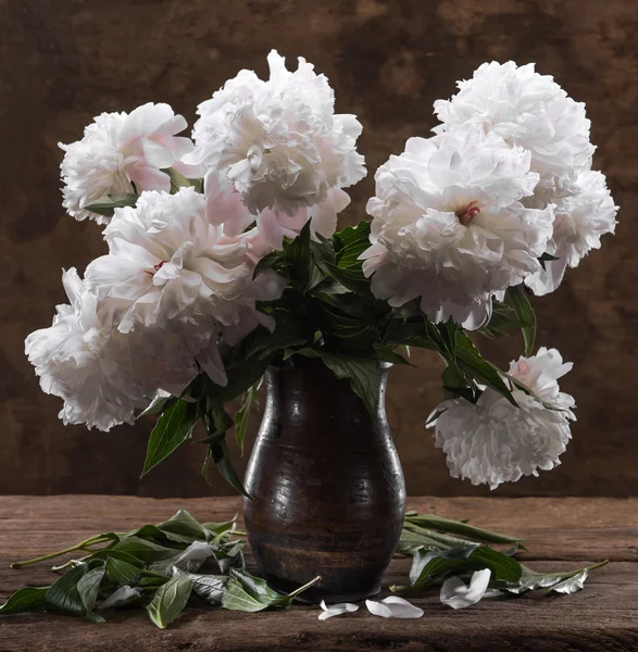 Bellissimo bouquet di peonie bianche — Foto Stock