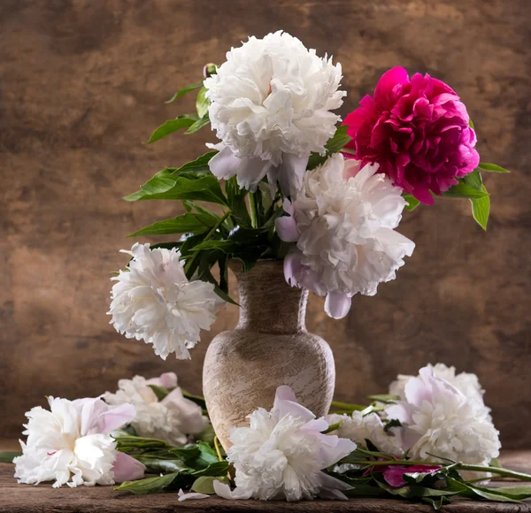 Beautiful bouquet of peonies — Stock Photo, Image