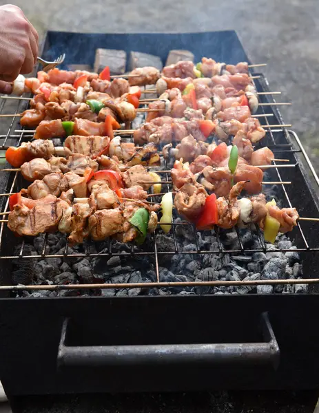 Juicy roasted kebabs — Stock Photo, Image