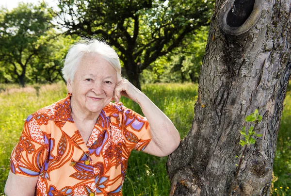 Schöne lächelnde alte Frau — Stockfoto