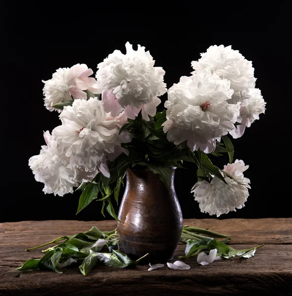 Beautiful bouquet of white peonies — Stock Photo, Image