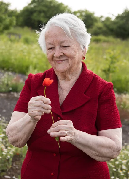 Old woman with a poppy — Stock Photo, Image