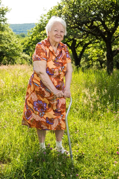 Schöne lächelnde alte Frau — Stockfoto