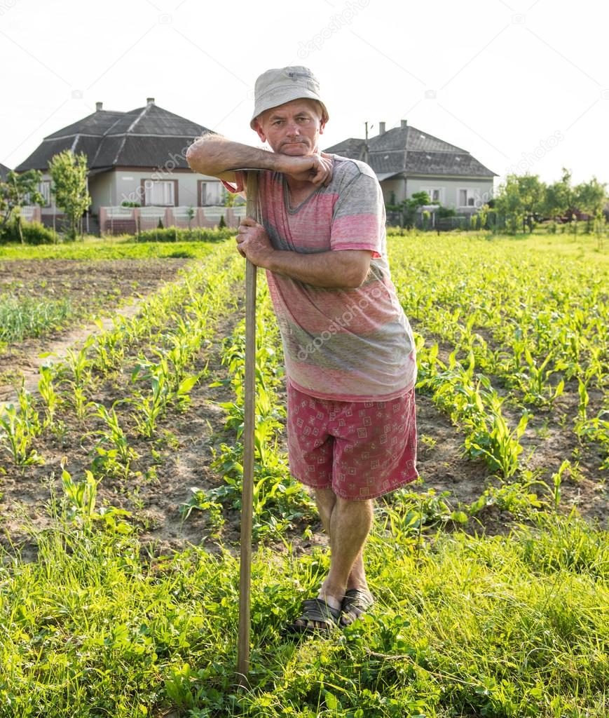 Farmer hoeing vegetable garden