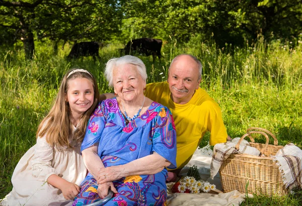 Portrait of cheerful  family — Stok fotoğraf