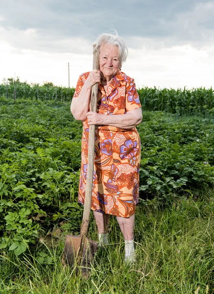 Old woman with a shovel — Stockfoto