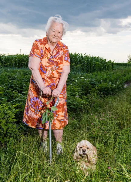 Beautiful old woman — Stock Photo, Image
