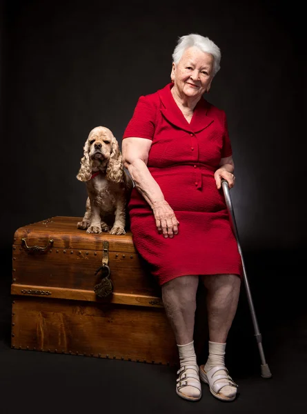 Oude vrouw met Amerikaanse spaniel — Stockfoto