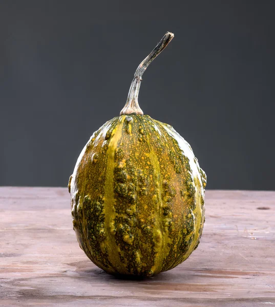 Decorative pumpkin — Stock Photo, Image