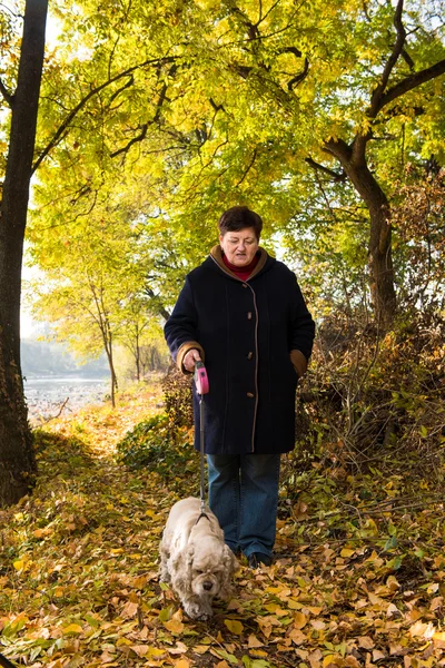 Mulher sênior com um cão — Fotografia de Stock