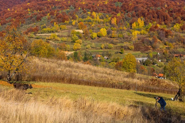 Podzimní krajina v Karpatských horách — Stock fotografie