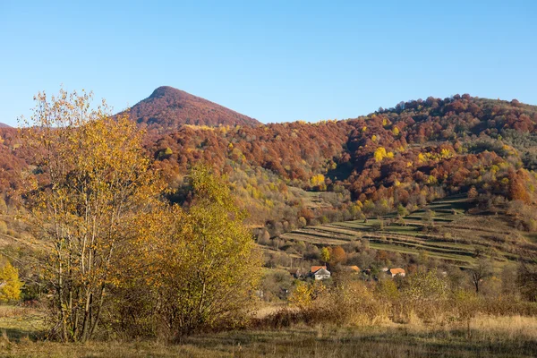 Paysage d'automne dans les montagnes des Carpates — Photo